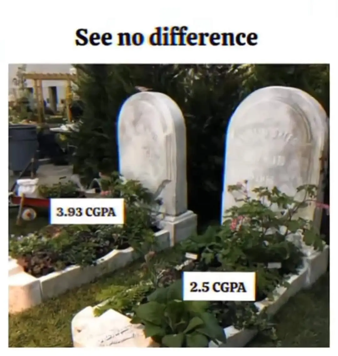 Shahryar Haider's Picture