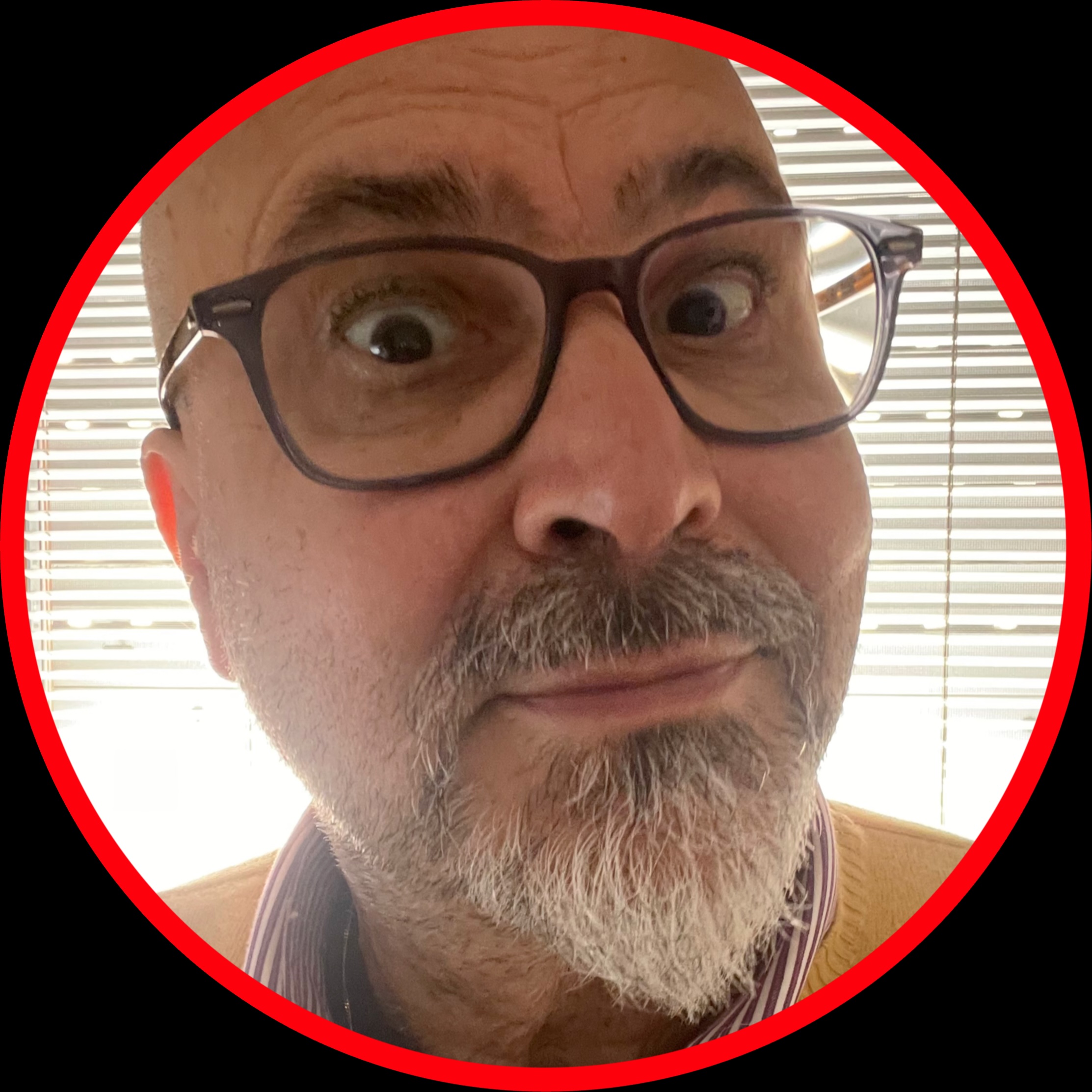 Silvano Bottaro's Picture